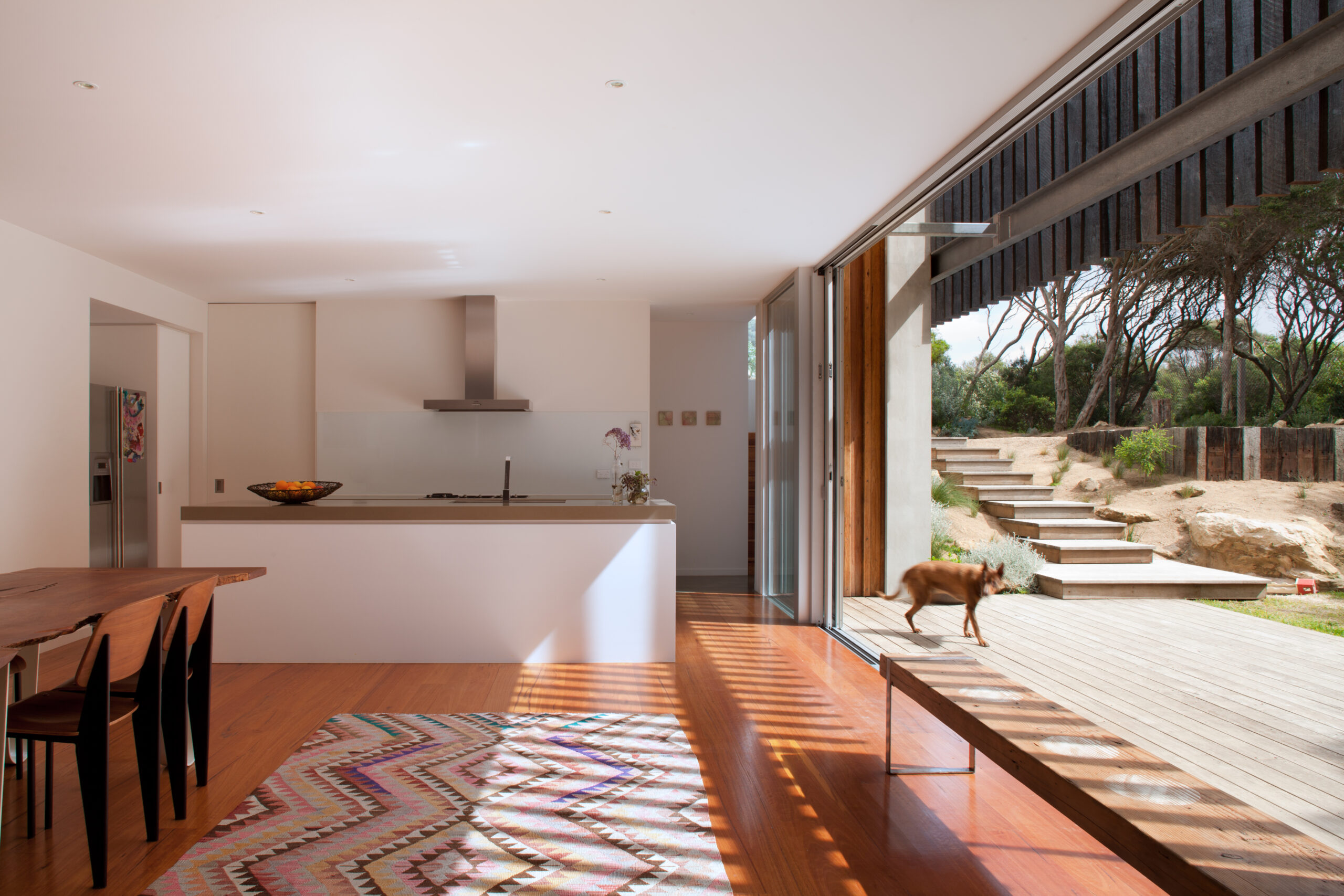 PP_Dune_House_05-scaled.jpg